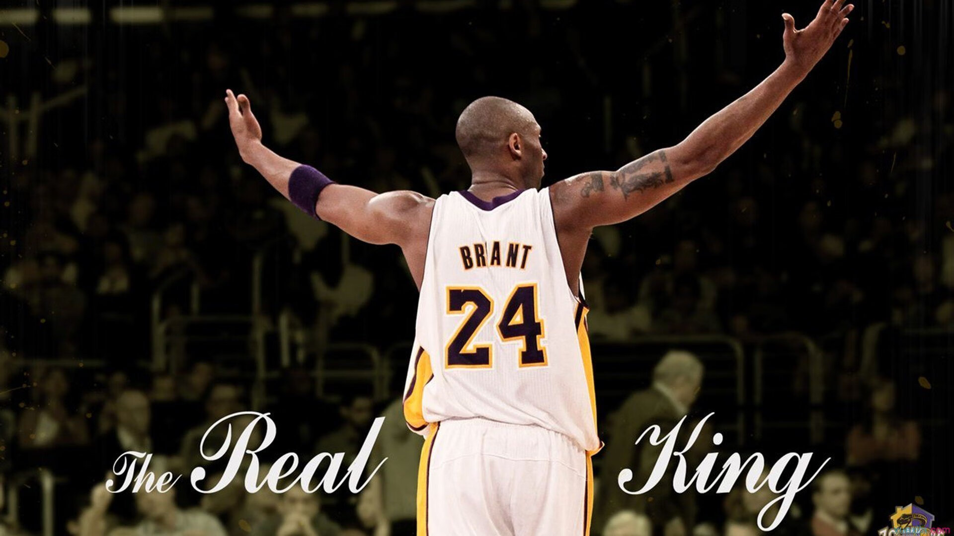 快船球员自制视频总结个人训练计划内容详实，快船球队球员